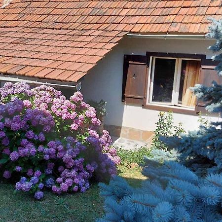Apartman Nebojsa Rudnik Ngoại thất bức ảnh