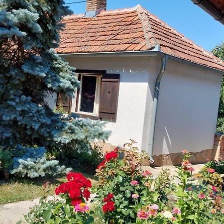 Apartman Nebojsa Rudnik Ngoại thất bức ảnh