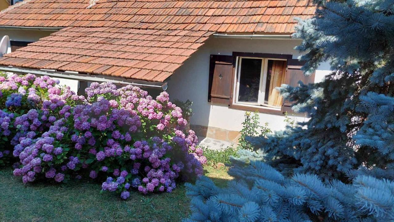 Apartman Nebojsa Rudnik Ngoại thất bức ảnh