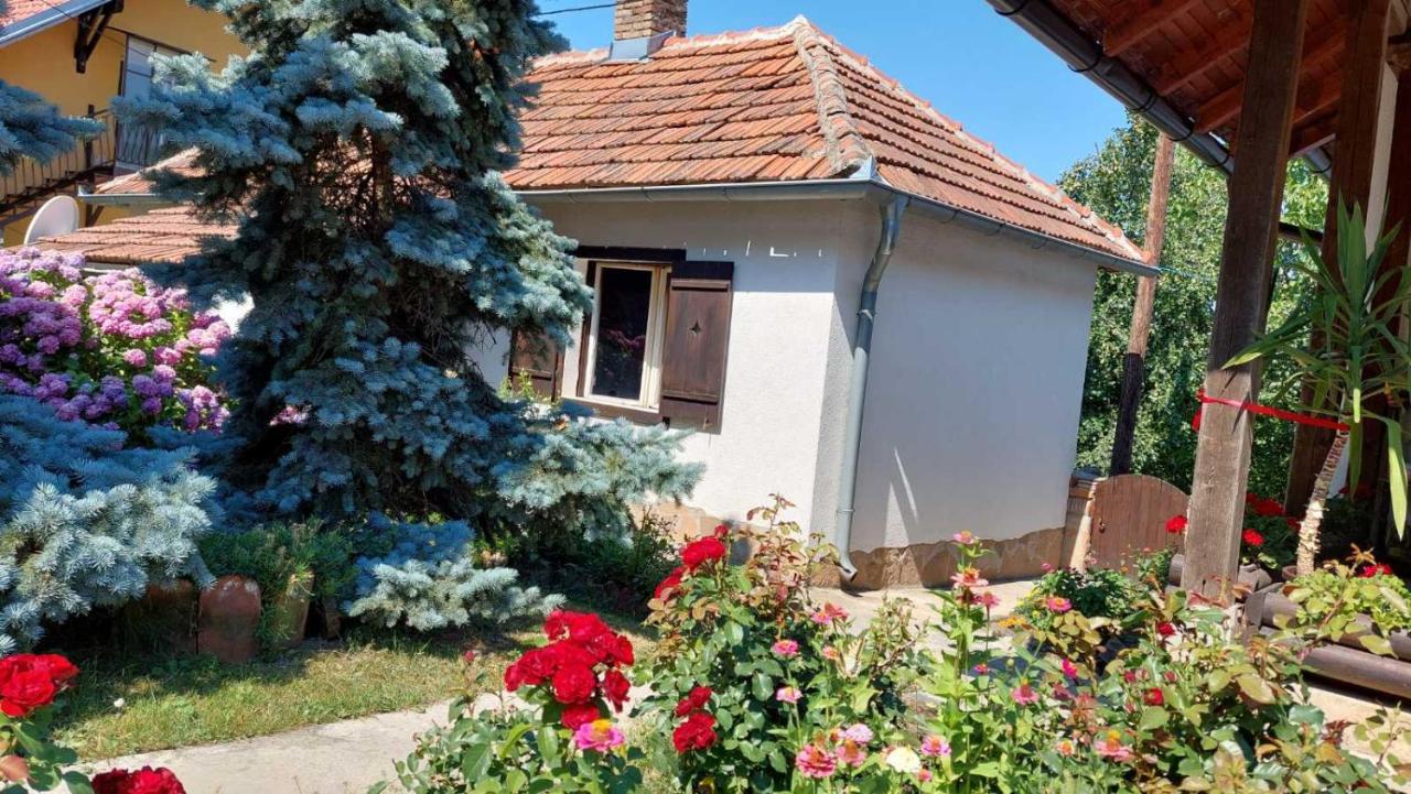 Apartman Nebojsa Rudnik Ngoại thất bức ảnh