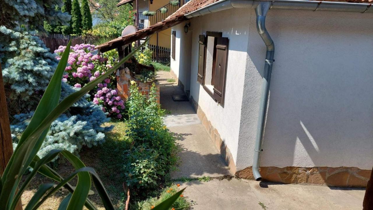 Apartman Nebojsa Rudnik Ngoại thất bức ảnh
